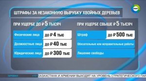 Телеканал «МИР 24», программа «Новости», 21.11.2025