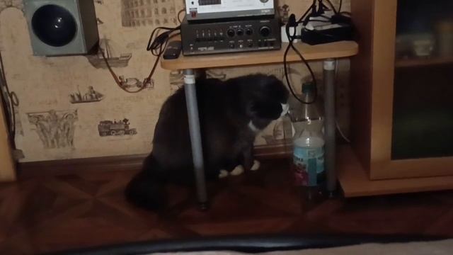 Досуг Григория