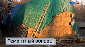 На конно-спортивной базе «Локомотив» продолжат строительные работы