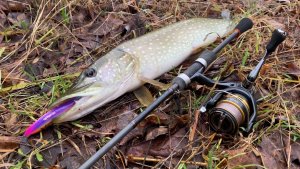 Щука на спиннинг в ноябре. Река Ворона