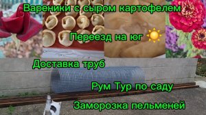 24-11-2025 Жизнь на юге☀️/Заморозка/Доставка/Уход за садом/Вареники/Пельмени/Обзор сада во дворе//