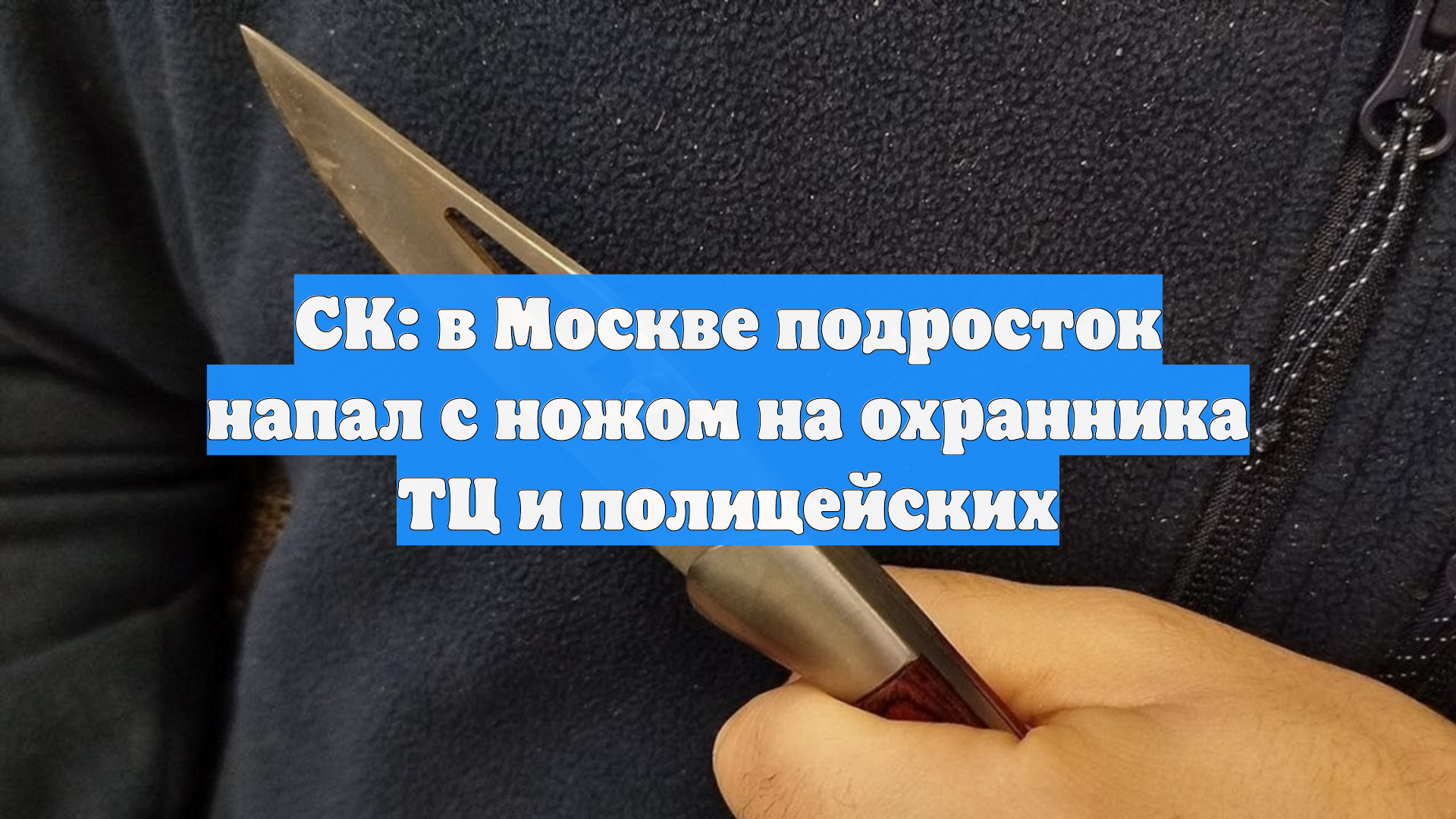 СК: в Москве подросток напал с ножом на охранника ТЦ и полицейских смотреть онлайн
