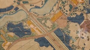 В Павловском парке завершили посадку крупномерных деревьев