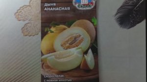 Дыня «Ананасная» — среднеранний сорт с удивительным ароматом и сладкой мякотью