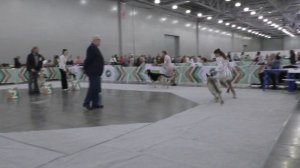 Сравнение открытого класса