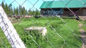 #КОМИДВИЖ. 20.11.2025