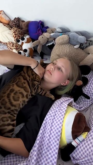 Долгожданная ВСТРЕЧА‼️Разлука с кошкой на 20 дней‼️ #миливанили #алиса смотреть онлайн