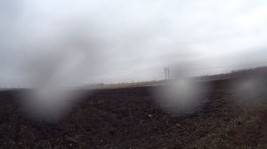 В очередной раз кашмарим врановых