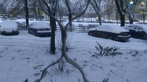 Снега навалило!