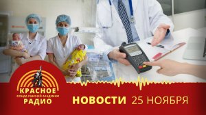 Протест медиков в Екатеринбурге против закрытия роддома. Неэффективность фонда ОМС. Новости 25.11.25