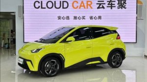 Чем заменить Nissan leaf ? это Китай детка!