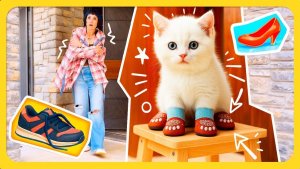 Котенок Кефир собирается на прогулку. Яркие носочки для похода за молоком!