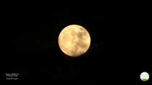 Гавайская Гитара и Гавайские острова @AlexVideo46