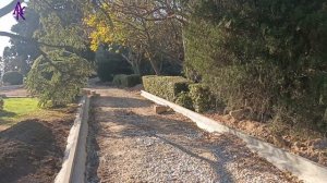 Крым. ЮБК. Мисхор. Реконструкция парка в Мисхоре. 21.11.25#юбк #мисхор #андрейкрымский #артемийкрым