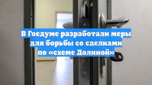 В Госдуме разработали меры для борьбы со сделками по «схеме Долиной»