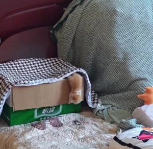 Побег из Шоушенка