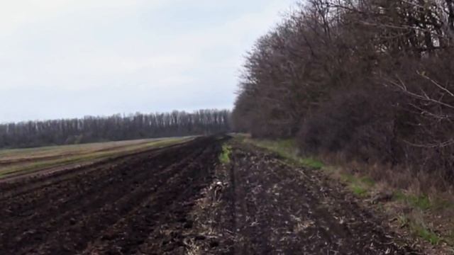 Английский Спрингер Спаниель знакомство с вальдшнепом смотреть онлайн