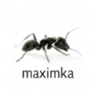 maximka