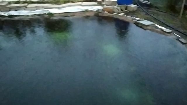 Засолка рыбы в пруду :) Солю воду в пруду перед зимой. смотреть онлайн