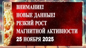 ВНИМАНИЕ! НОВЫЕ ДАННЫЕ! РЕЗКИЙ РОСТ МАГНИТНОЙ АКТИВНОСТИ 25 НОЯБРЯ 2025 ГОДА!!!