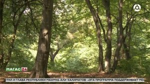 Дайджест новостей 24.11.2025 г.