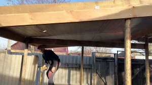 Продолжаем строить баню / Рыба Хе, рецепт / Погода в ноябре /  Дачный влог