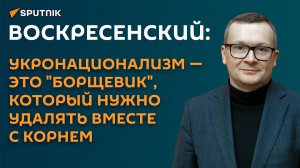 Воскресенский: укронационализм - это "борщевик", который нужно удалять вместе с корнем