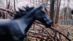 Шляйх сериал :Путь. Часть девятая :охотник.