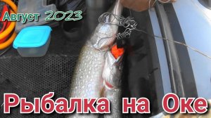 Рыбалка на оке в августе 2023, Я нашёл тот воблер который реально ловит на ОКЕ