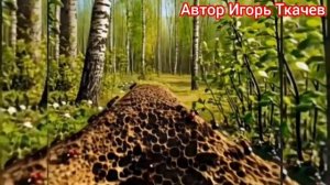 Песенки. МУРАВЬИШКИ