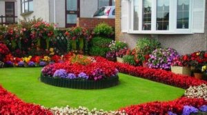 Дачные идеи ! (3)