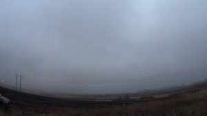 Ворона и 20 калибр