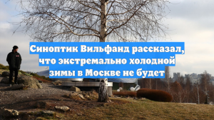 Синоптик Вильфанд рассказал, что экстремально холодной зимы в Москве не будет