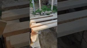 Отремонтировала крышу у будок перед приютом