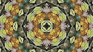 Видеофоны! Видеофон Осенняя цветочная фантазия 6 от Киностудии Мудрого Кота Тимофея!