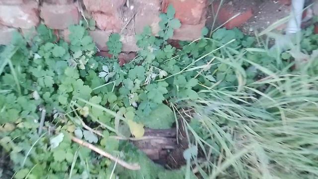 дом на Акимова