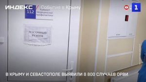 В Крыму и Севастополе выявили 8 800 случаев ОРВИ