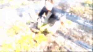 Гравилаты. Весенние работы.