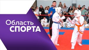 Область спорта №338