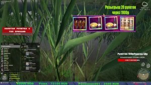 МЕДНОЕ В ПОНИЖКУ И ДРУГИЕ ИНТЕРЕСНЫЕ ВОДОЕМЫ В РУССКОЙ РЫБАЛКЕ 4 СТРИМ