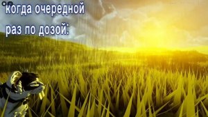 чур я собака, а Пчела сосед