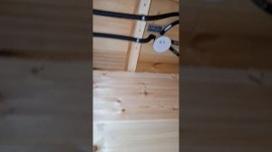 1000040887.mp4 (Собака смотрит на монтаж э/проводки (план. э/вентиляции в ванной) в доме А-фрейм)