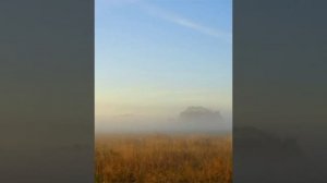 "На коне скакал казак"...