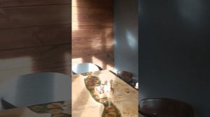 Путешествие на Красную поляну