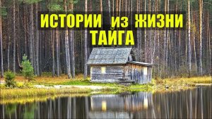 История из жизни. «В ГЛУХОЙ ТАЙГЕ».