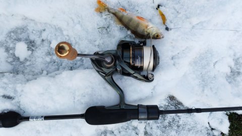 Приток Десны. Микро-джиг 23 ноября 2025 года