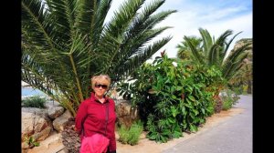 ПАЛЬМА ДЭ МАЙОРКА.