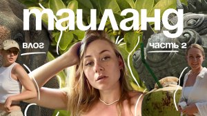 Ужалила МЕДУЗА на Пхукете | часть 2: огромный аквапарк Andamanda Phuket и путь к Аватару