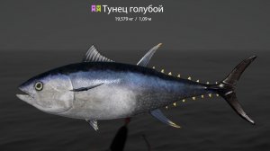 Русская Рыбалка 4 !!!