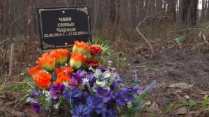 Брянцам рассказали о запрете на захоронение питомцев и возможных штрафах